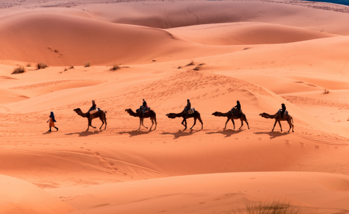 viaje de 15 días por Marruecos desde Casablanca